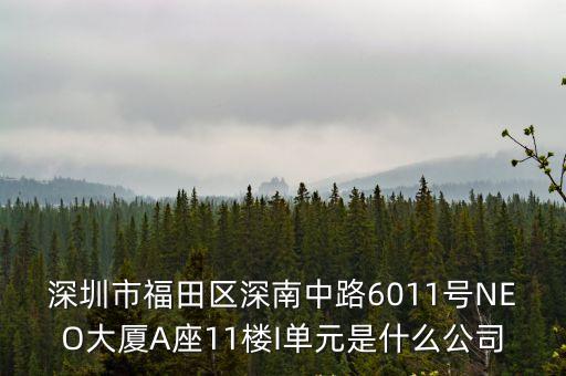 深圳市福田區深南中路6011號NEO大廈A座11樓I單元是什么公司