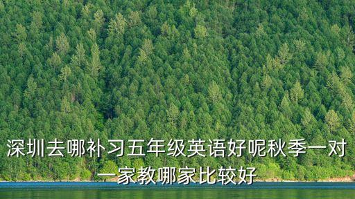 五年級英語下深圳，深圳去哪補習五年級英語好呢秋季一對一家教哪家比較好