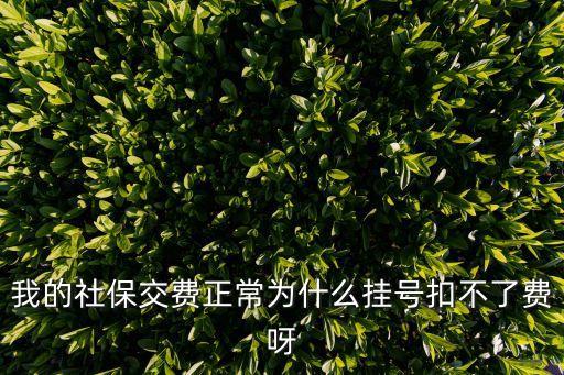 我的社保交費正常為什么掛號扣不了費呀