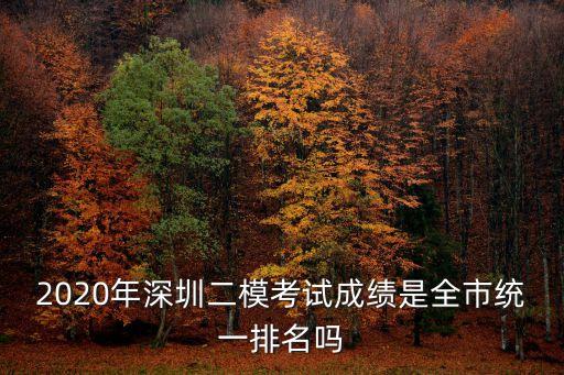2020年深圳二模考試成績是全市統(tǒng)一排名嗎