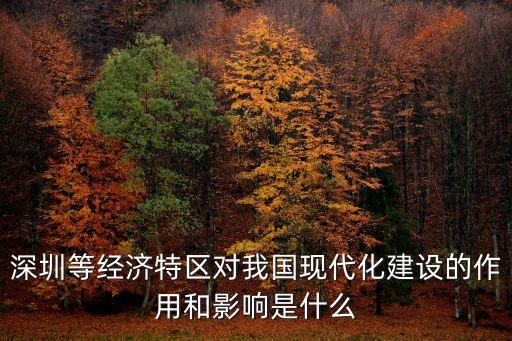 深圳等經(jīng)濟(jì)特區(qū)對我國現(xiàn)代化建設(shè)的作用和影響是什么