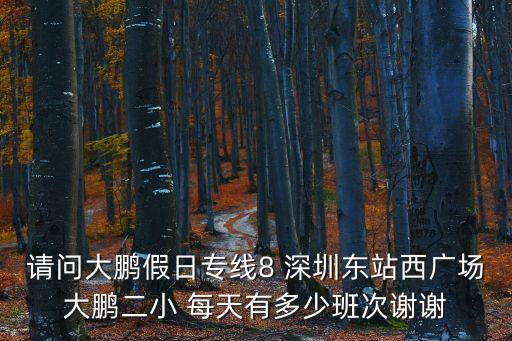 大鵬假日專線深圳東站，請問大鵬假日專線8 深圳東站西廣場大鵬二小 每天有多少班次謝謝