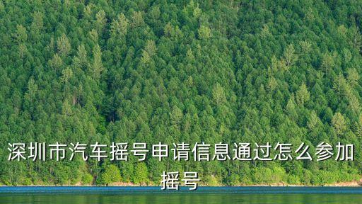 深圳市汽車搖號申請信息通過怎么參加搖號