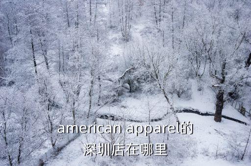 飛協博深圳地址，american apparel的深圳店在哪里