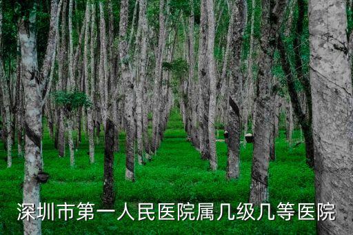 深圳市第一人民醫院屬幾級幾等醫院
