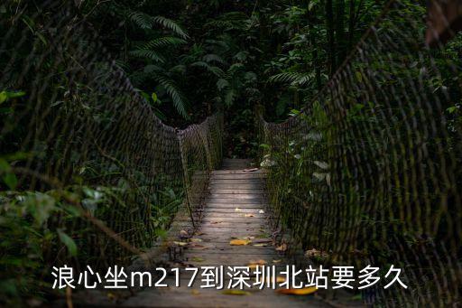 從浪心村委到深圳北站，從浪心村委到深圳西火車站怎么走