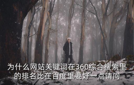 為什么網(wǎng)站關(guān)鍵詞在360綜合搜索里的排名比在百度里要好一點(diǎn)請(qǐng)問(wèn)