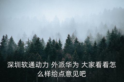 深圳市城安軟通怎么樣，深圳軟通動力 外派華為 大家看看怎么樣給點意見吧