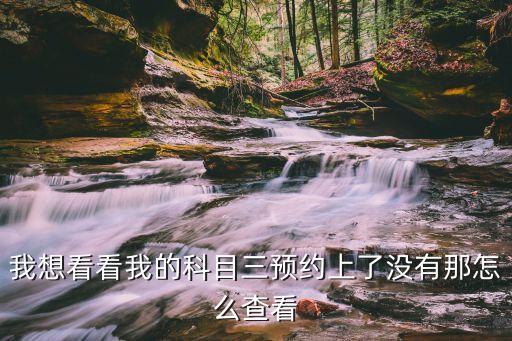 我想看看我的科目三預約上了沒有那怎么查看