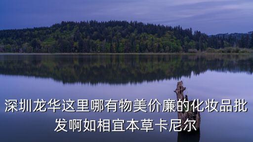深圳龍華化妝品批發市場，深圳龍華這里哪有物美價廉的化妝品批發啊如相宜本草卡尼爾