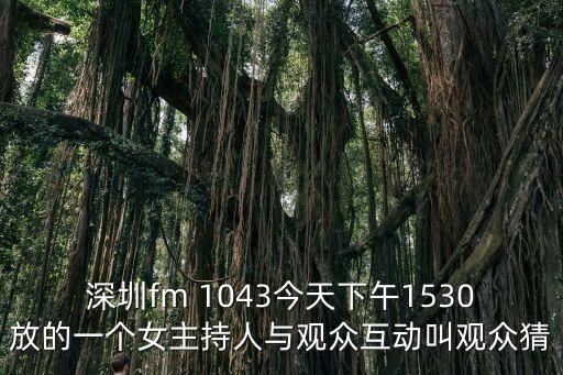 深圳fm 1043今天下午1530放的一個女主持人與觀眾互動叫觀眾猜
