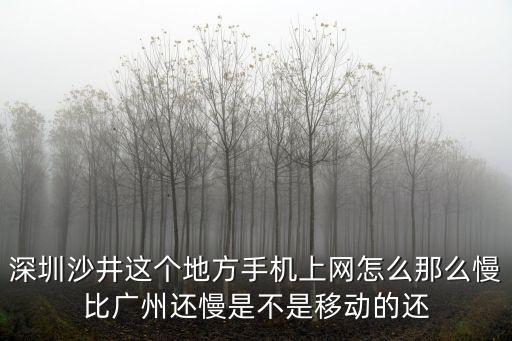 深圳網絡那么卡嗎，深圳網通慢嗎