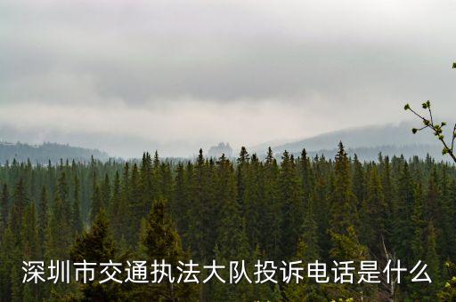 深圳市交通執(zhí)法大隊(duì)投訴電話是什么