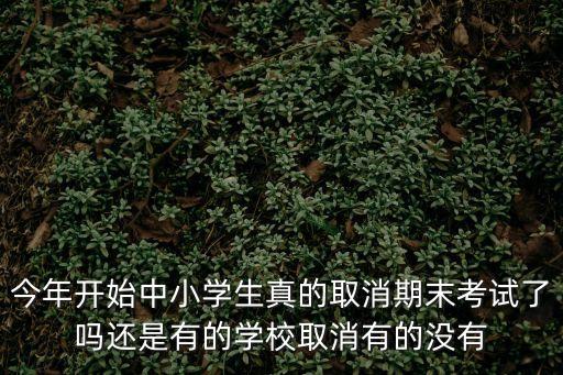 今年開始中小學(xué)生真的取消期末考試了嗎還是有的學(xué)校取消有的沒有
