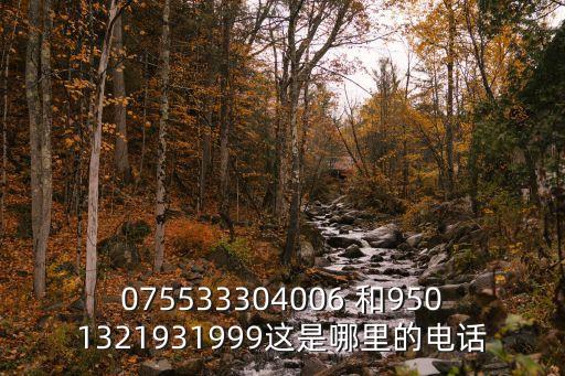 075533304006 和9501321931999這是哪里的電話
