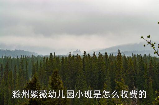 滁州紫薇幼兒園小班是怎么收費的