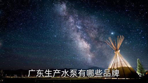 廣東生產(chǎn)水泵有哪些品牌