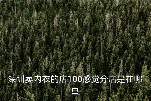 v21內衣深圳福田分店，深圳賣內衣的店100感覺分店是在哪里