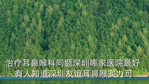 治療耳鼻喉科問題深圳哪家醫院最好 有人知道深圳友誼耳鼻喉實力可