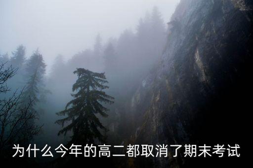 為什么今年的高二都取消了期末考試