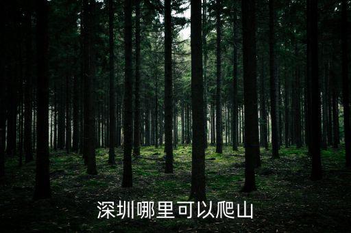 深圳跑山圣地，深圳市龍崗區哪里可以爬山的最好在公園里面不要太偏僻人煙稀