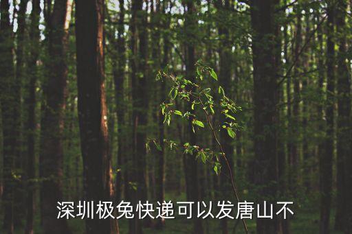深圳極道速遞物流，廣東省深圳市寶安極場興圍物流中心有什么快遞