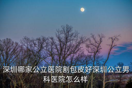 深圳哪家公立醫院割包皮好深圳公立男科醫院怎么樣