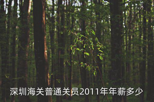 深圳海關退休待遇怎樣，寶貝們求解深圳海關工資待遇