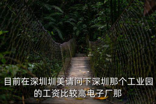 深圳美美電子有限公司招聘，目前在深圳圳美請問下深圳那個工業園的工資比較高電子廠那