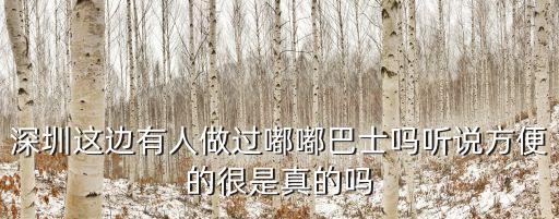 深圳這邊有人做過嘟嘟巴士嗎聽說方便的很是真的嗎