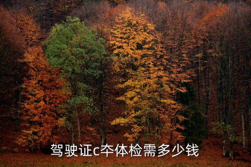 深圳恒生醫院駕駛證體檢費用，駕駛證c夲體檢需多少錢
