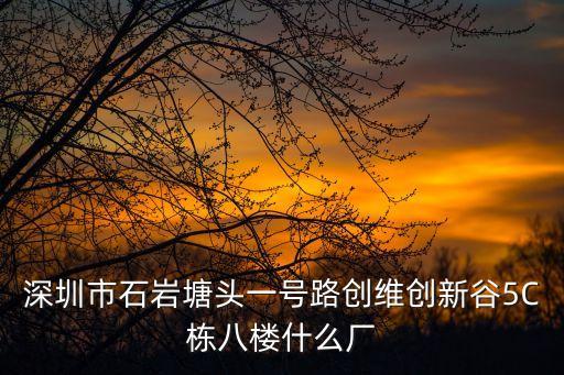 深圳市石巖塘頭一號路創維創新谷5C棟八樓什么廠