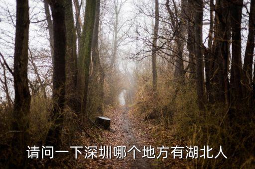 請問一下深圳哪個地方有湖北人