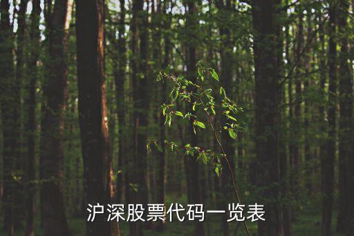 滬深股票代碼一覽表