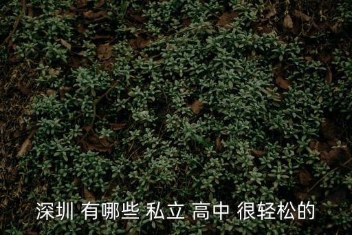 深圳 有哪些 私立 高中 很輕松的