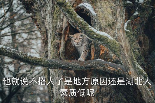 他就說不招人了是地方原因還是湖北人素質低呢