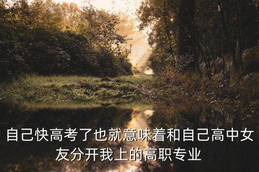 自己快高考了也就意味著和自己高中女友分開(kāi)我上的高職專業(yè)