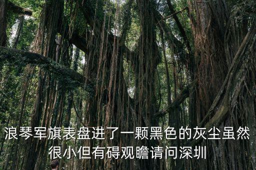 浪琴軍旗表盤進了一顆黑色的灰塵雖然很小但有礙觀瞻請問深圳