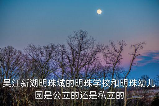 吳江新湖明珠城的明珠學(xué)校和明珠幼兒園是公立的還是私立的