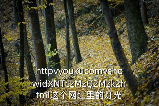 httpvyoukucomvshowidXNTczMzQ2Mzk2html這個(gè)網(wǎng)址里的燈光
