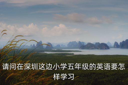 請問在深圳這邊小學五年級的英語要怎樣學習