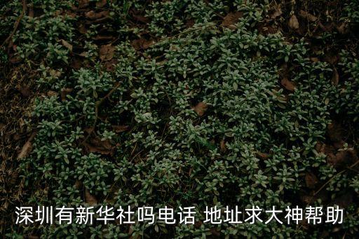 深圳有新華社嗎電話 地址求大神幫助