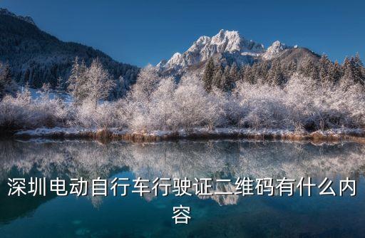 深圳電動自行車行駛證二維碼有什么內(nèi)容