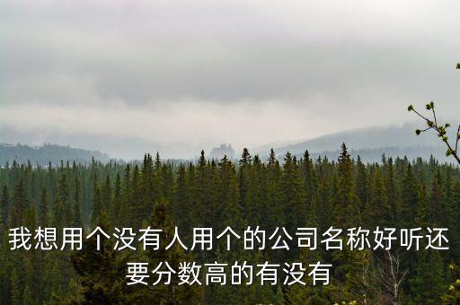 我想用個沒有人用個的公司名稱好聽還要分數高的有沒有