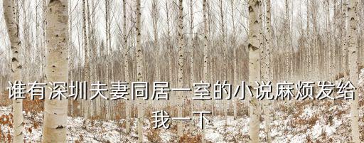 深圳合租康txt下載，深圳合租濟 在哪里可以看全集