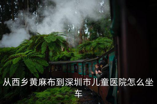 從西鄉(xiāng)地鐵站到深圳市兒童醫(yī)院怎么坐車，從西鄉(xiāng)黃麻布到深圳市兒童醫(yī)院怎么坐車