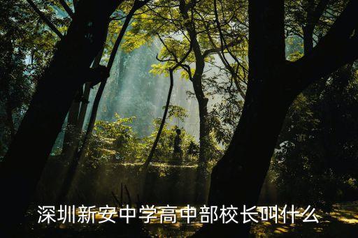 深圳新安中學陽力安老師，深圳新安中學高中部校長叫什么