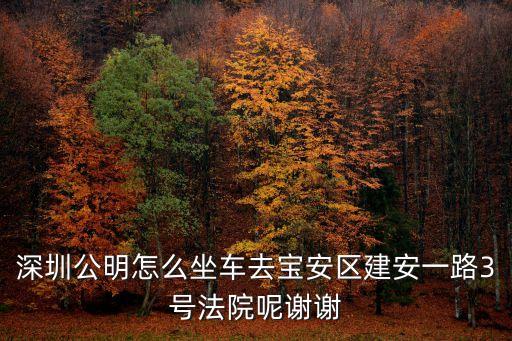 深圳金融街融御華府論壇，從石巖水田村委怎么坐車去中國銀行深圳寶安支行