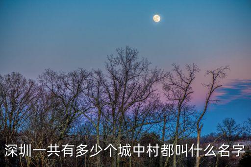 深圳一共有多少個城中村都叫什么名字