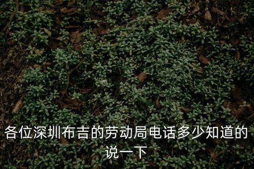 深圳龍崗布吉水務局電話，熟悉深圳布吉水徑的進來